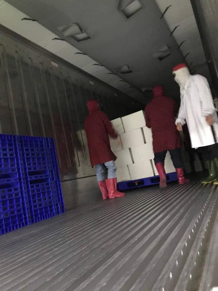 Hướng dẫn cách đóng gói hàng đông lạnh đúng cách khi vận chuyển